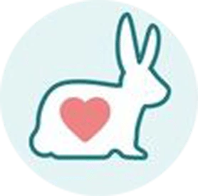 A white bunny with a red heart on a blue background. A white bunny with a red heart on a blue background.