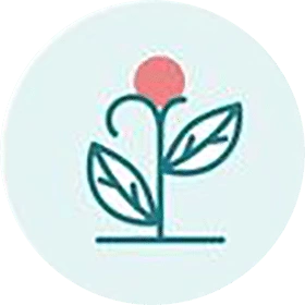 An image of a plant with a flower in it. An image of a plant with a flower in it.